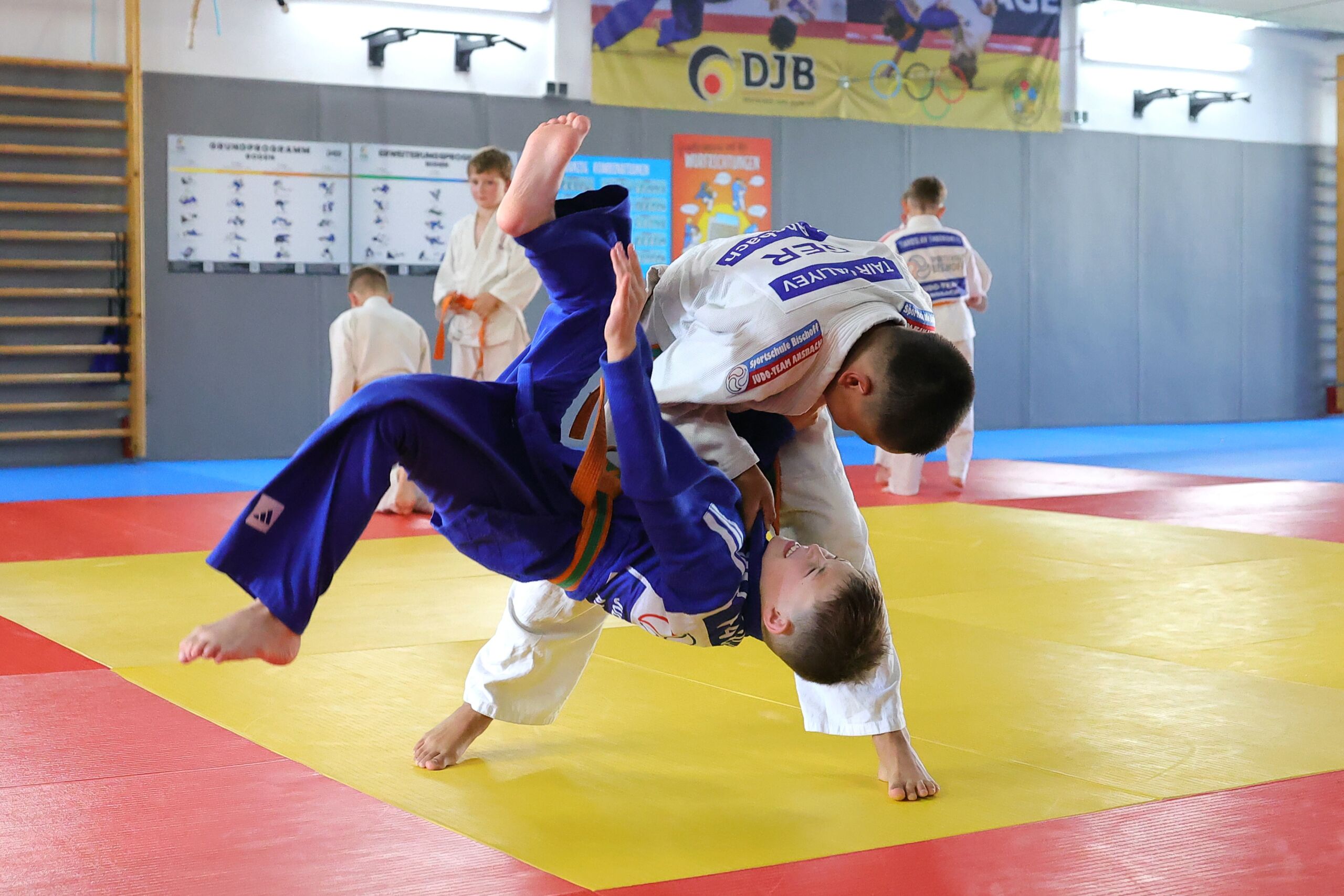 Tai otoshi