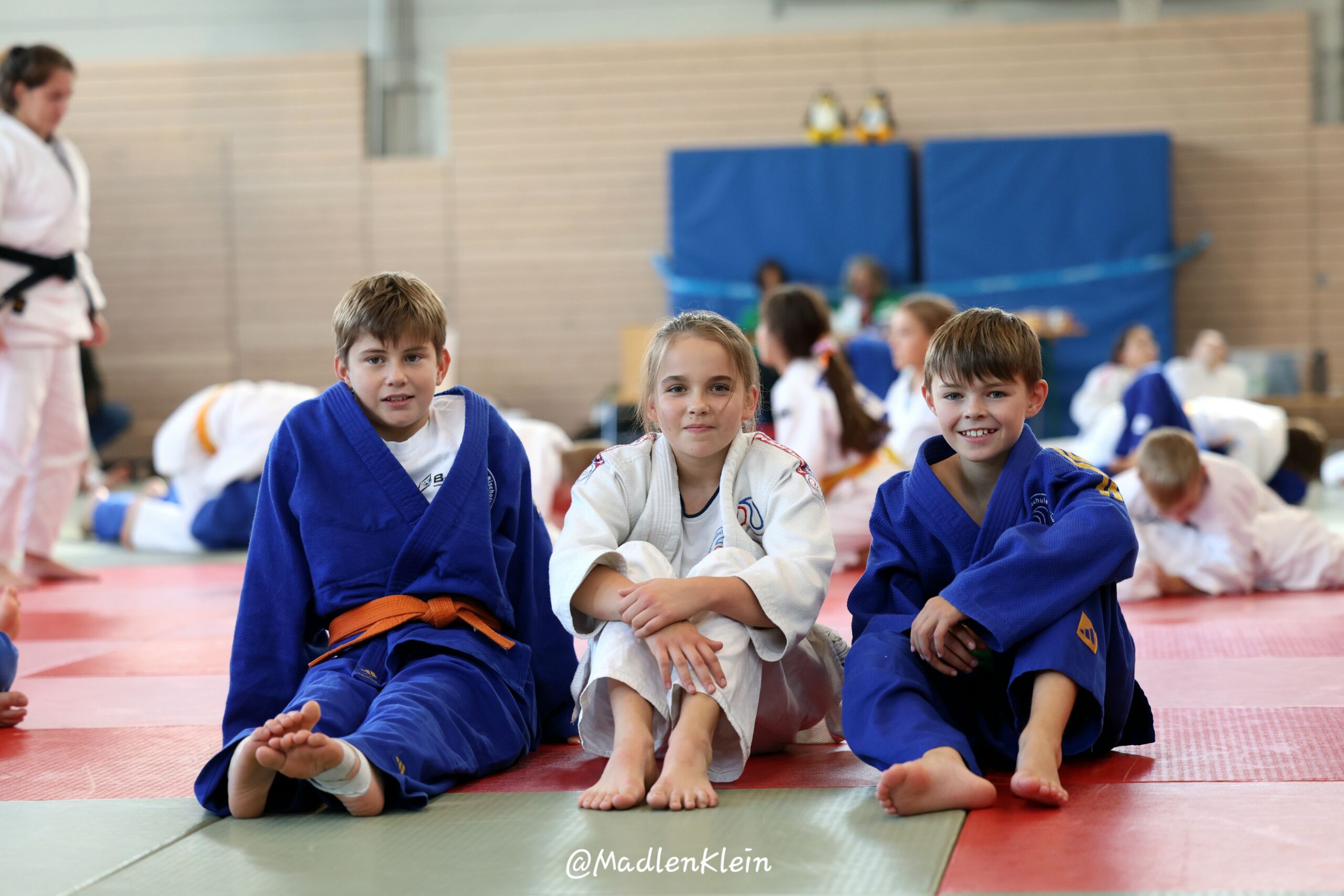 ippon fighter (3)